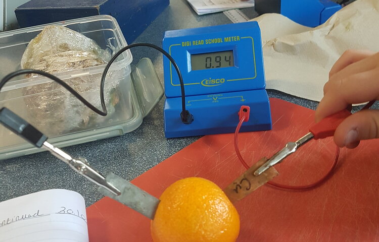 Image of Year 7 Scientists Investigate Fruit Power!