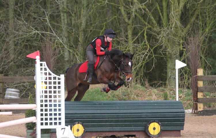 Image of Belle Qualifies for Hickstead